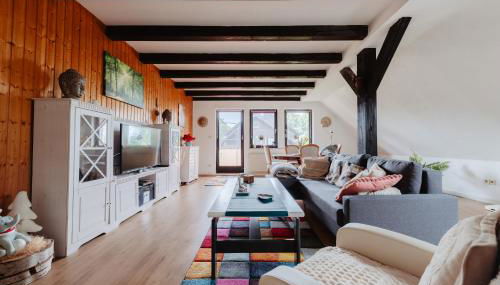 Olifant in Osterode - Foto 3