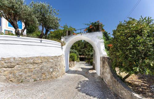 Quinta dos Canais - Foto 4