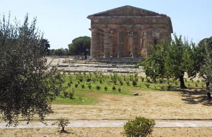 Villa Giulia - Cilento - Giungano - Foto 56