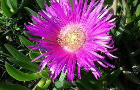 Agriturismo Fiorano - Foto 68