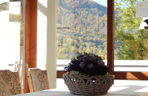 FREE Apartment - Bei den Thermen - Foto 27