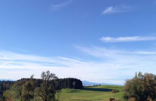 Ferienhof Metzler - Foto 28