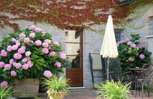 Agriturismo La Sovana - Photo 108