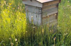 Keenaghan Cottage Belleek Fermanagh Northern Ireland - Foto 7