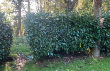 Woodland Retreat, Market Lane, Blundeston, Lowestoft - Foto 42