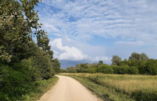 Domek nad Bugiem z Sauną - Foto 4