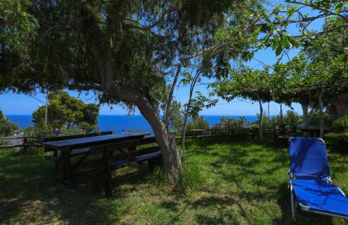 Galini Apartments - Foto 4