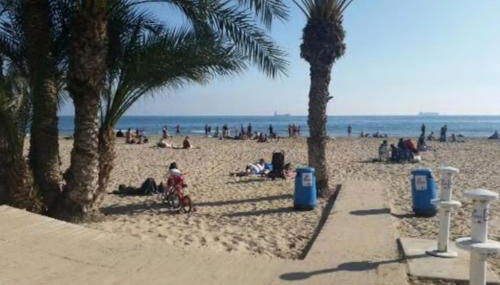 Flamenco I - Photo 5