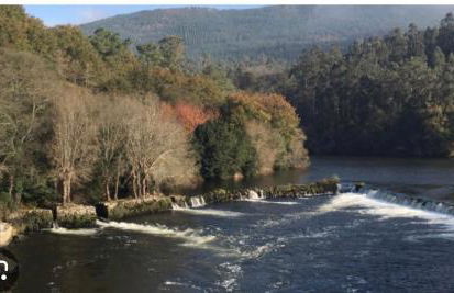 El nido del cuco - Foto 15