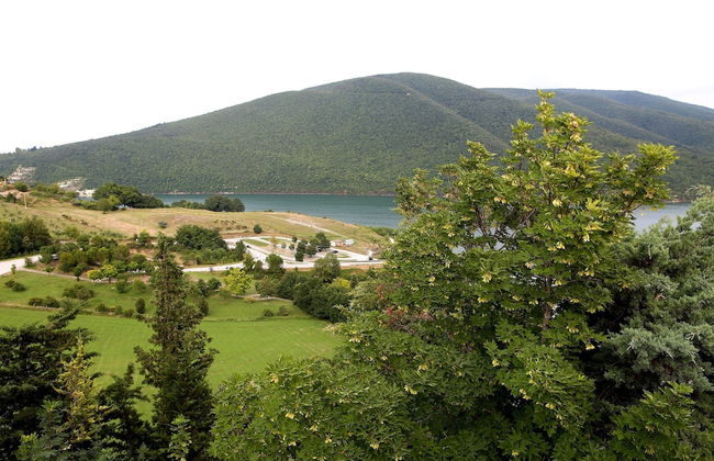 Colle Sul Lago - Foto 33
