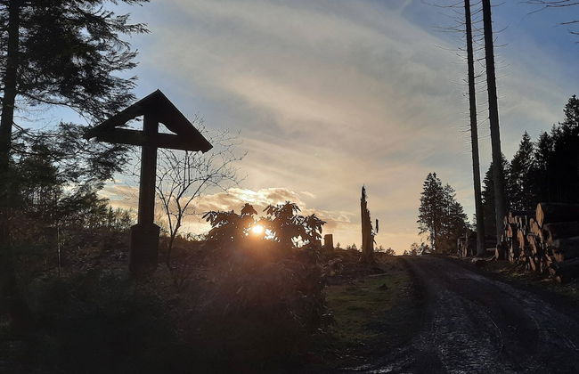 Ferienwohnung im Malerischen Eslohe - Foto 38