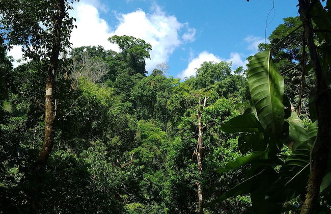 Corcovado Private Villas - Foto 65