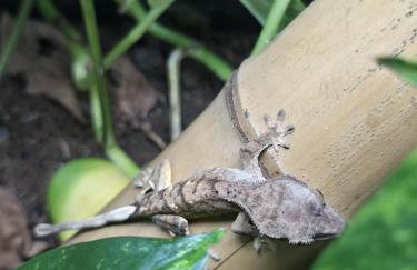 Trecco Bay Porthcawl 2-Bed Caravan Sleeps 6 - Foto 6