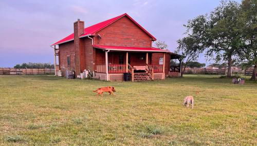 Twins Red Cabin Escape - Foto 3