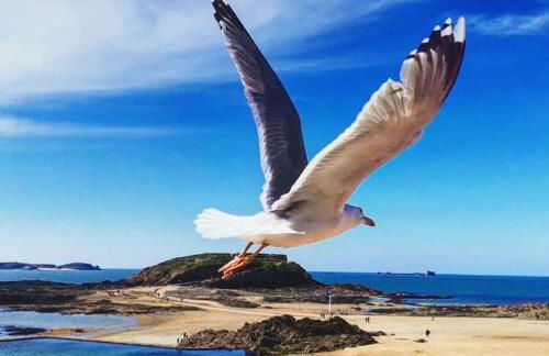 Escapade à Ploubalay : Maison moderne de plain-pied - Foto 51