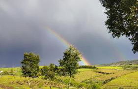 O Recanto do Sobreiro - Foto 9