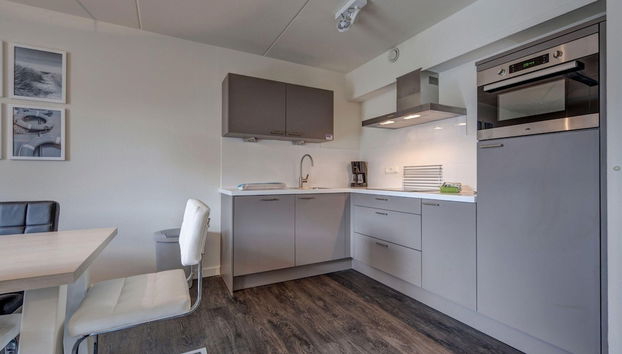 Relaxing Villa by the Dunes - Foto 4, Cocina privada