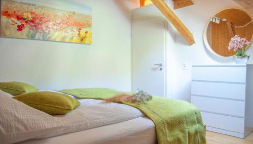 Glück und SPA in Triberg - Foto 4