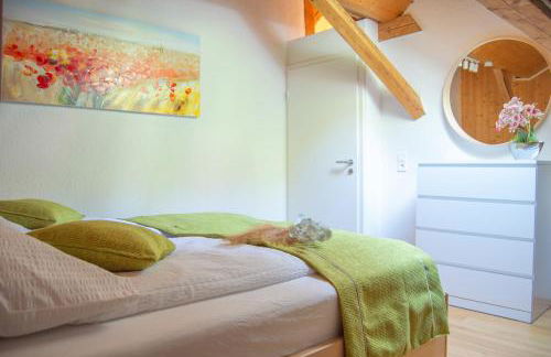 Glück und SPA in Triberg - Foto 4