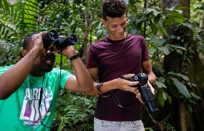 Birdwatching a Castries Waterworks - Foto 7