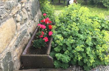 Perthi Uchaf - Foto 28