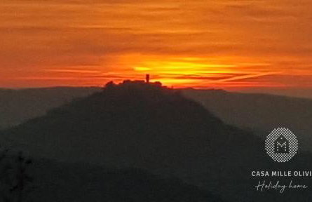 Casa Mille Olivi - Peaceful Lake View House, Private 50m2 Pool, near Motovun - Photo 49