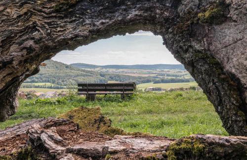 Ferienwohnung Liebelt in Mitgenfeld , bayerische Rhön - Foto 43