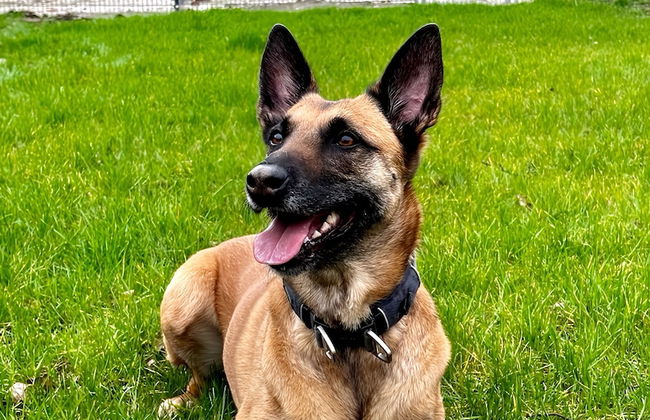 Ferienhaus am Glück - Foto 39