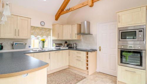 Forget-me-not - Foto 5