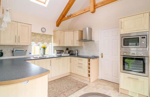 Forget-me-not - Foto 5