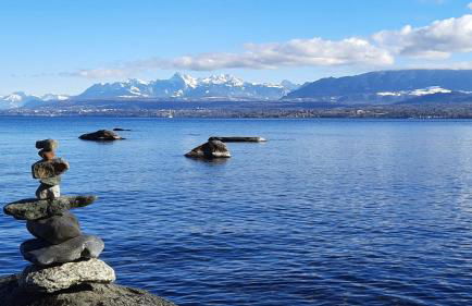 Petit chalet proche Lac Léman - Foto 23