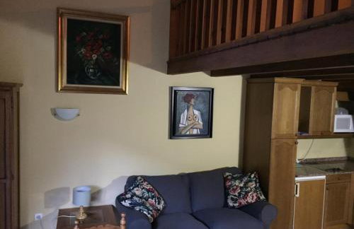 apartamentos turisticos san juan de la peña - Foto 20