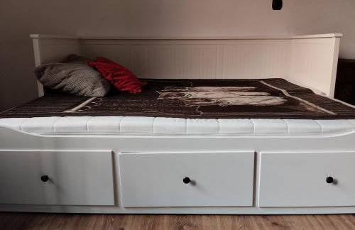 ZALASEK Gospodarstwo Agroturystyczne z Alpakami - Foto 27