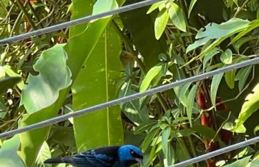 Casa 5 Suítes com Vista para o Mar - Praia Barra do Sahy - Foto 46