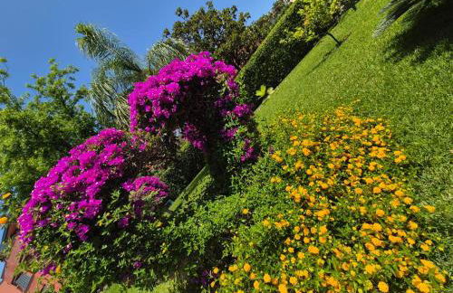 Orchidea Bianca - Foto 51