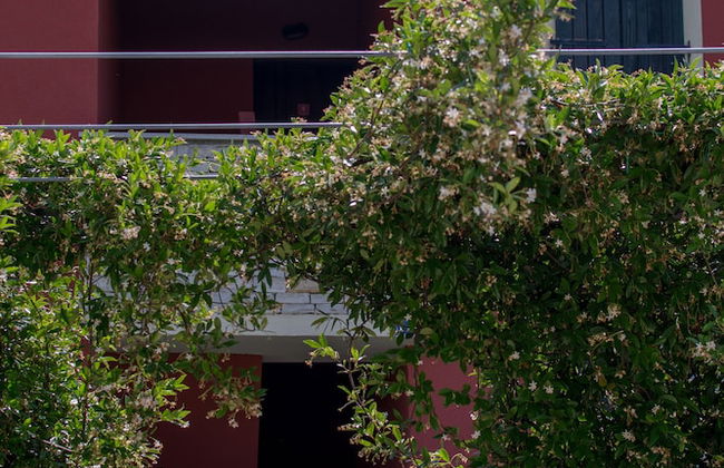 Villas Faro - Foto 22