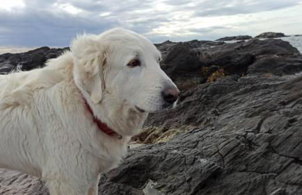 El Calon, mar y montaña - Foto 24