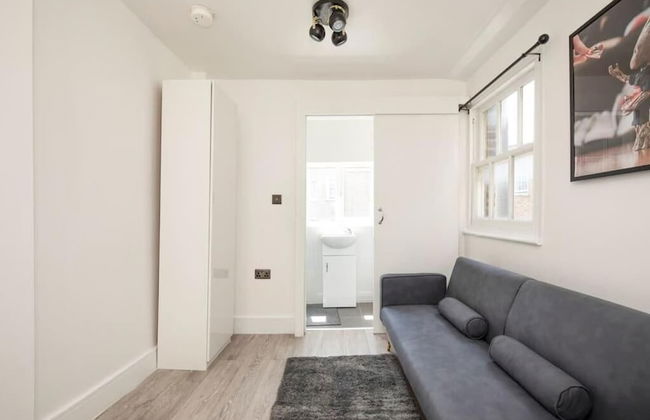 Spacious Serenity in the Heart of Central London - Foto 14