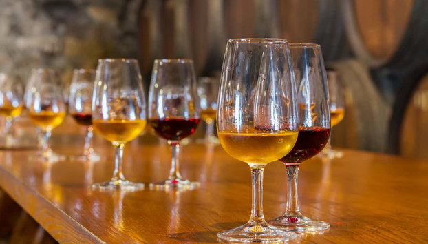 Tour in tuk tuk + Crociera dei sei ponti - Foto 5, Visitando una cantina di Porto