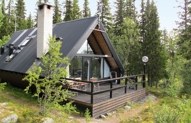 Lofsdalen Fjällbjörken - Photo 1