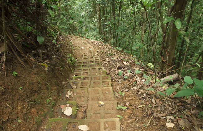 Villas Josipek - Foto 78