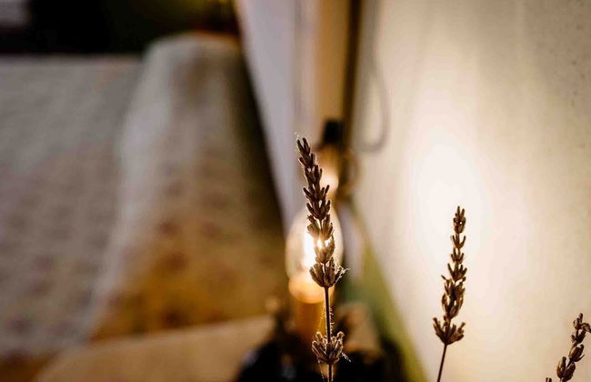 Agriturismo Bio Fattoria di Pietra - Foto 71