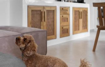 Solmar Suites - Foto 23