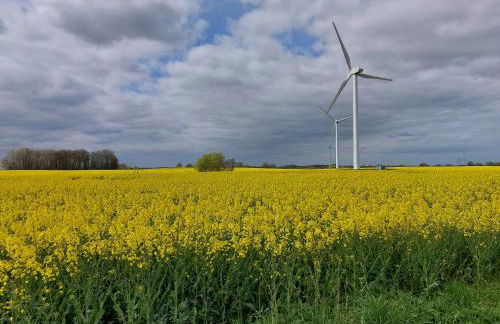 Ferienwohnung im Ostseebad Schönberg nahe Schönberger Strand Ostsee Self-Check-in - Foto 18