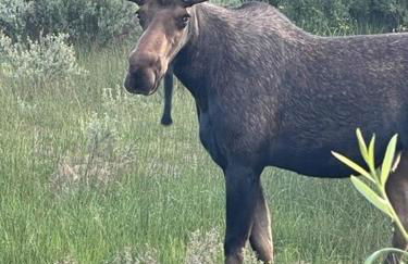 Beautiful Driggs Townhome with Views and Hot Tub - Foto 17