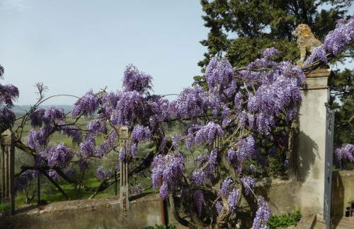 Villa Humbourg - Foto 15