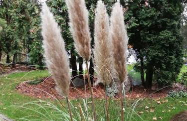 Parkowa Garden - Foto 41