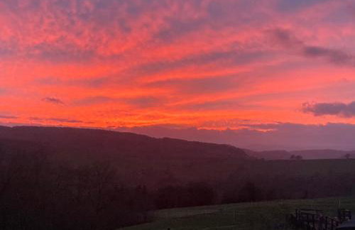 2 Guests - Pet Friendly - Traditional Gypsy Vardo - Foto 17