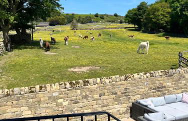 Kiln House Lodge - Photo 25