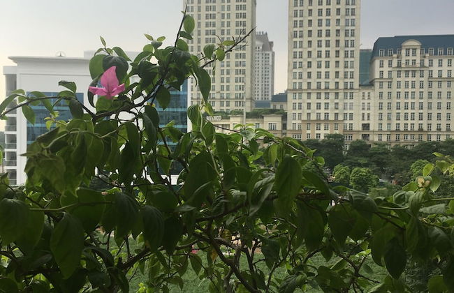 V-studio Hotel Apartment 3 - Foto 35